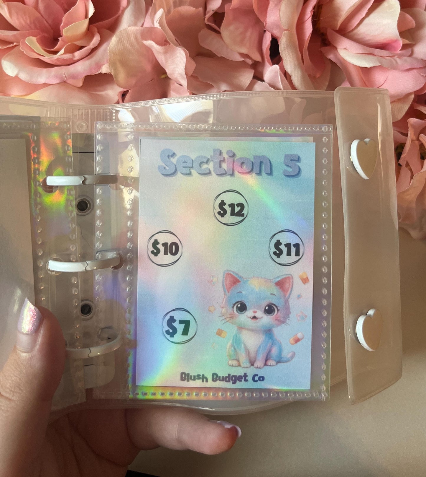Iridescent Halloween Mini Binder Savings Challenge | Cash Envelope Insert, Cash Binder, Cash Insert, Budget Insert