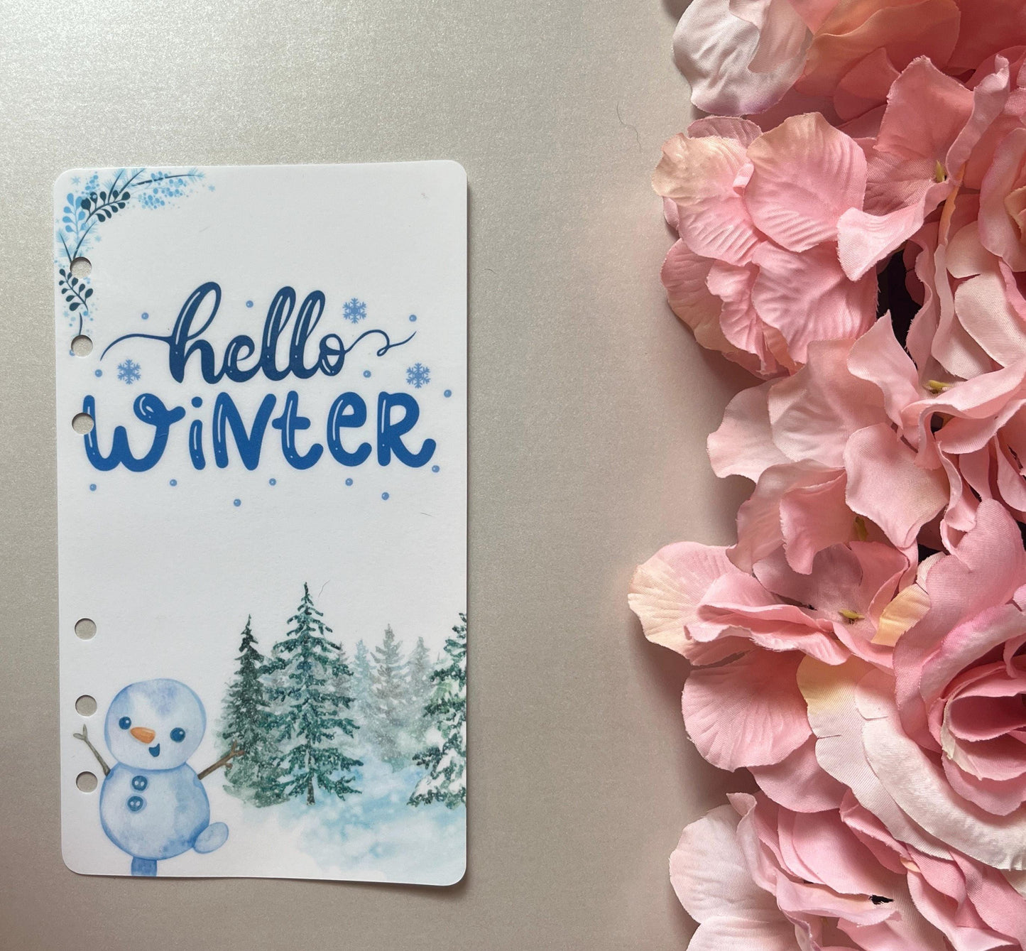 Seasonal A6 Dashboards |Cash Stuffing, Cash Placeholder, A6 Cash Budget, Cash Envelope System, Budget Binder