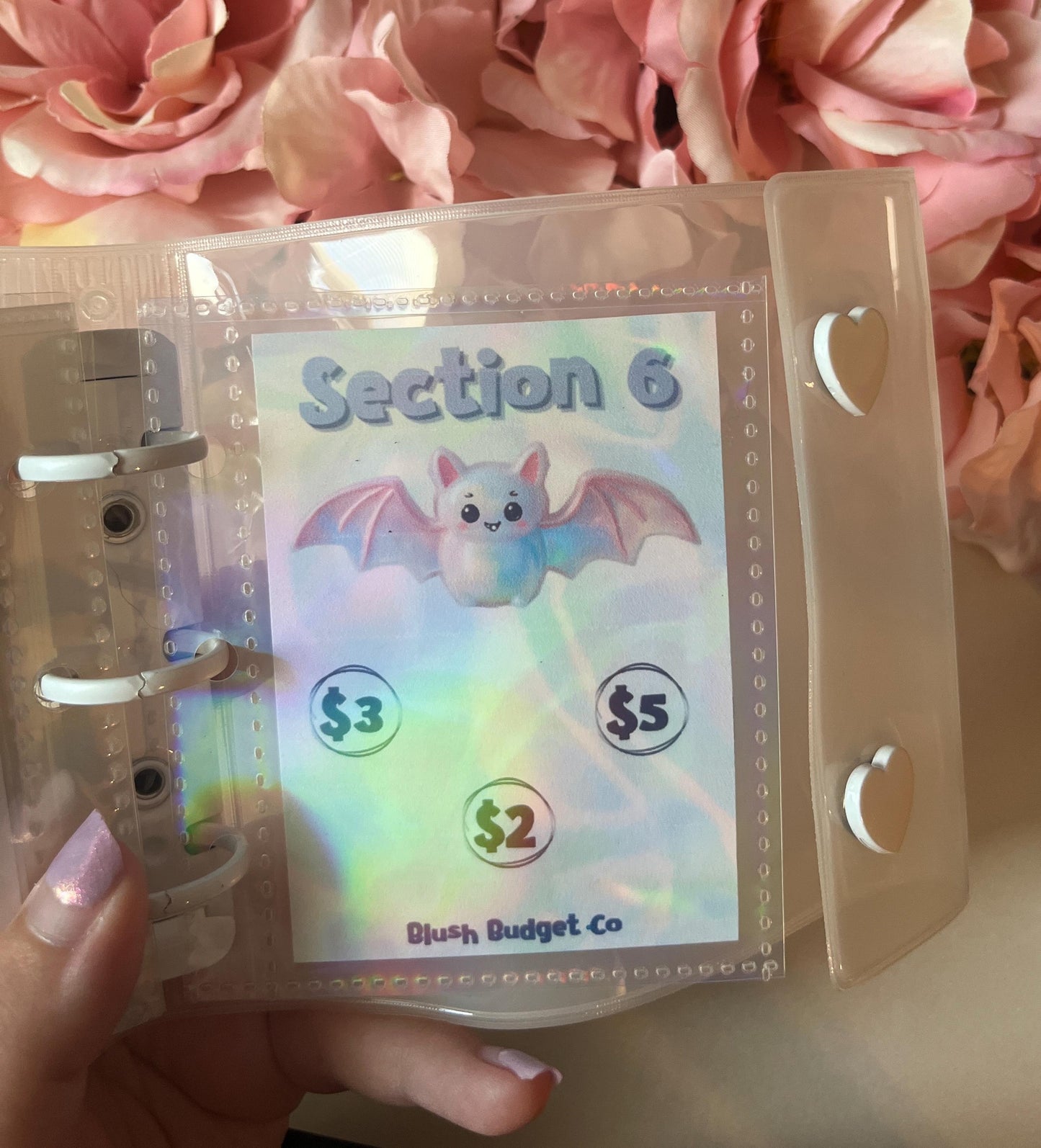 Iridescent Halloween Mini Binder Savings Challenge  | Cash Envelope Insert, Cash Binder, Cash Insert, Budget Insert